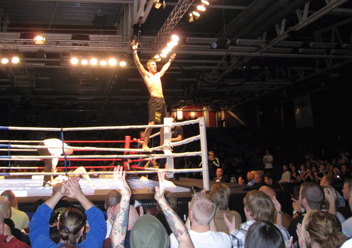 MMA in Sweden