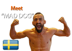 mad_dog.png mad_dog.png