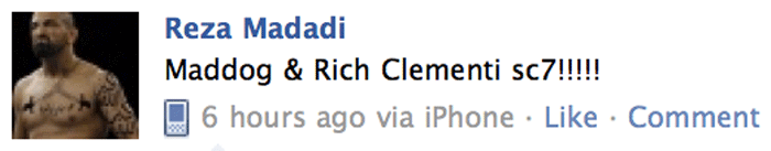 Madadi versus Clementi