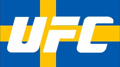 UFC_Sweden_Flag