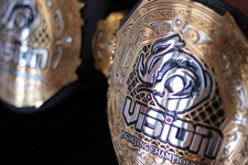 VisionBelt