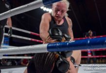 Siiskonen working some ground and pound from the mount