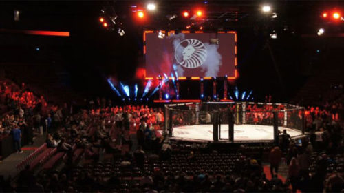 SuperiorChallenge_PBP