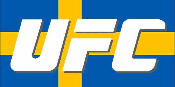 UFC in Sweden 2013