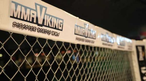 Viking_Cage