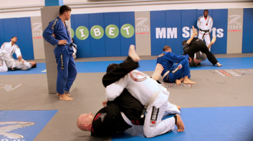 BJJ class with Alan “Finfou” Nascimento