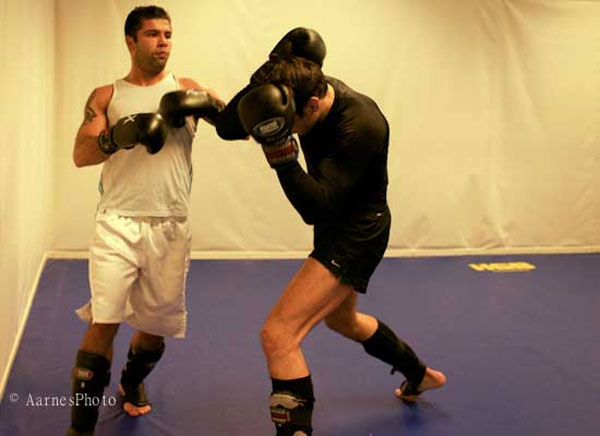 Pouria Rashidi