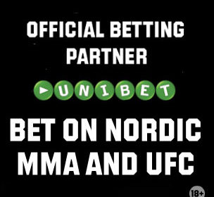 MMA_viking_300