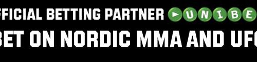MMA_viking_Banner