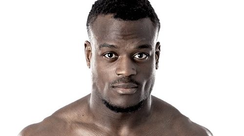 PapyAbediProfile