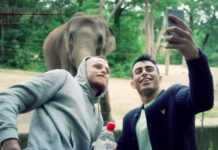 Video : Backstrom and Amirkhani Hit the Berlin Zoo