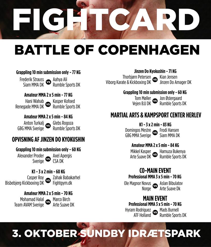 Battle of Copenhagen