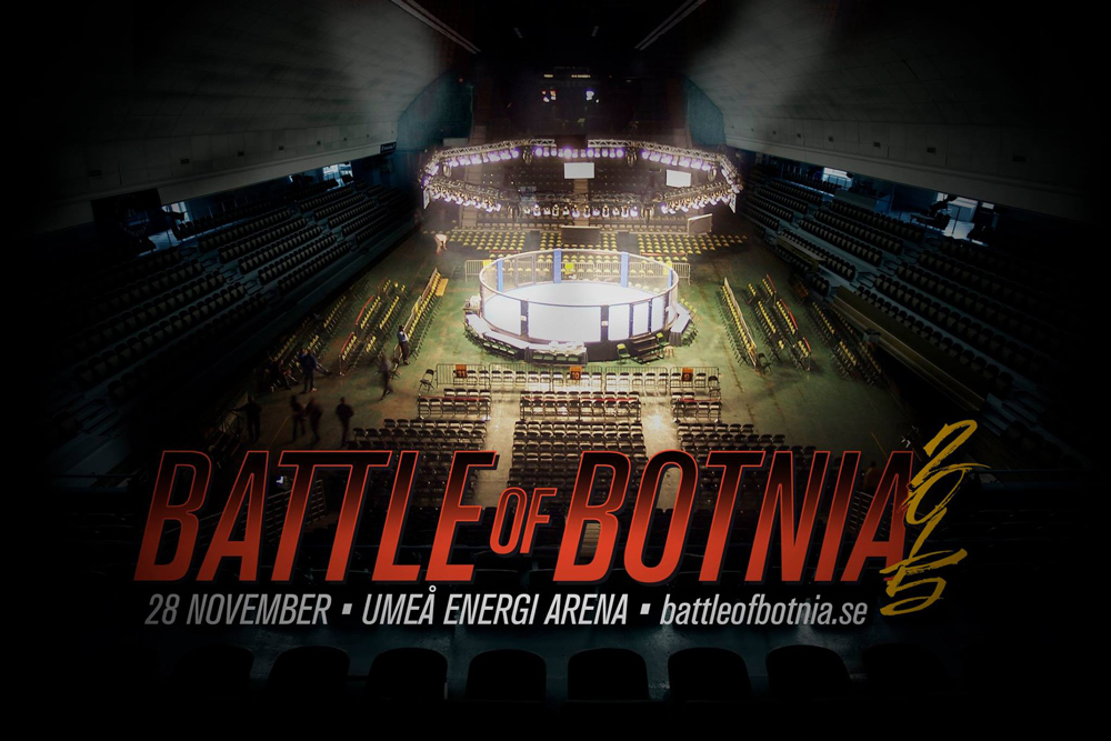 BattleofBotnia2015Poster