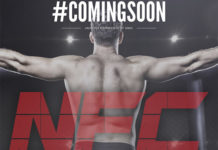 New Promotion Nordic Fighting Championship Plans May Event