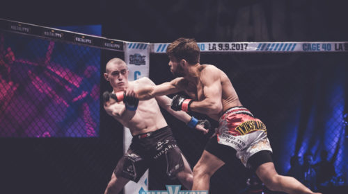 Cage (14 of 102)