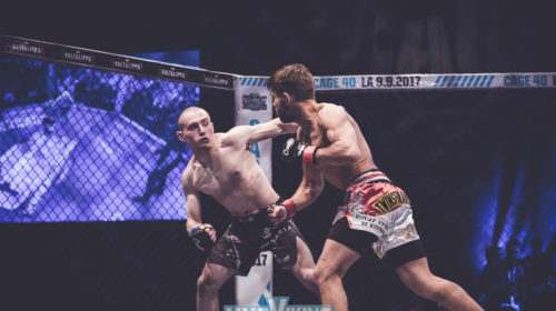 Cage (15 of 102)