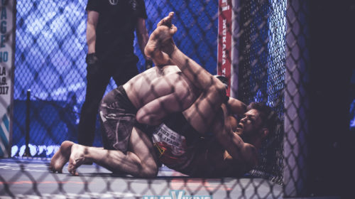 Cage (16 of 102)