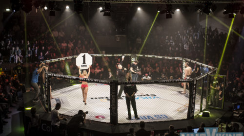 mmaviking-jesper-spangsgaard-baek-19_2