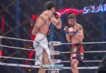 Mikael Silander Loses Interim Title Bout at M-1 Challenge 87