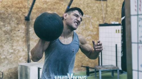 Damir-Hadzovic-UFC-Ball