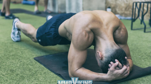 Damir-Hadzovic-UFC-Plank