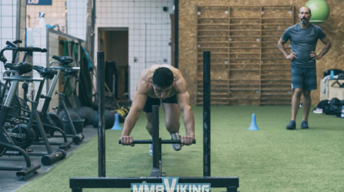 Damir-Hadzovic-UFC-Sled