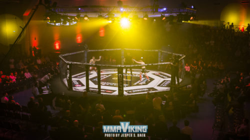 mmaviking-jesper-spangsgaard-baek-3